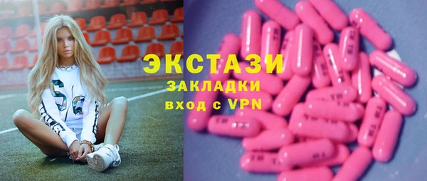 ECSTASY Бородино